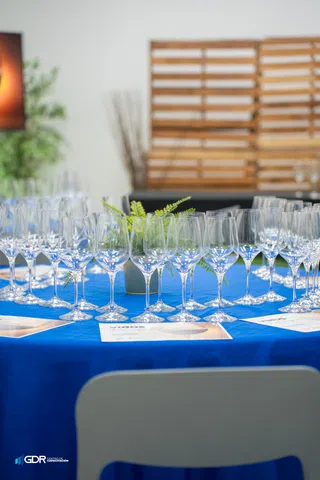 Entre Vinos Wine Tasting – 28-03-25 – photo 10 of 220